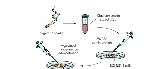 Agarwood Oil Nanoemulsion Attenuates Cigarette Smoke-Induced Inflammation and Oxidative Stress Markers in BCi-NS1.1 Airway Epithelial Cells
