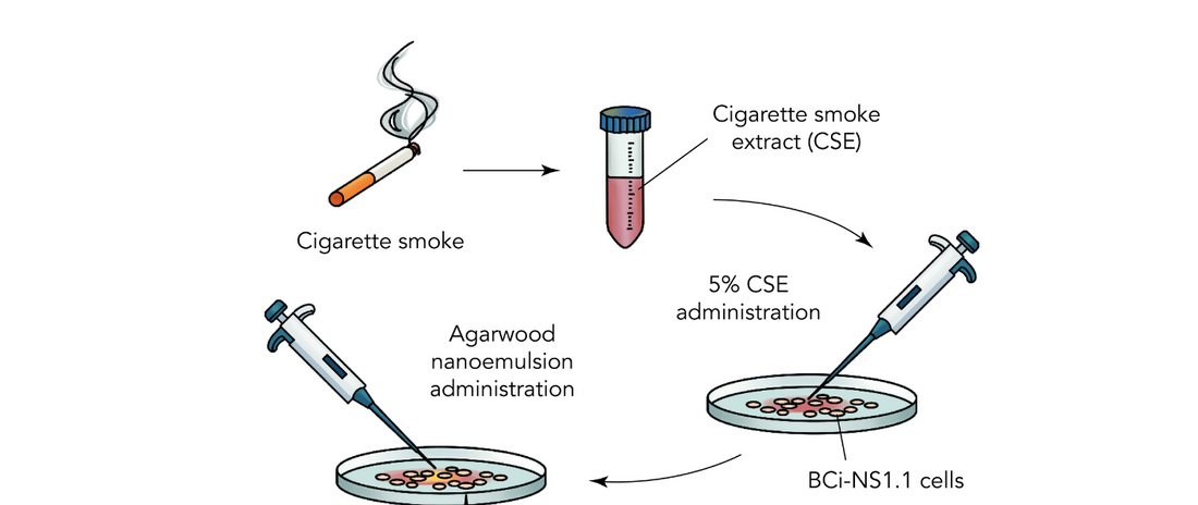 Agarwood Oil Nanoemulsion Attenuates Cigarette Smoke-Induced Inflammation and Oxidative Stress Markers in BCi-NS1.1 Airway Epithelial Cells