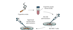Agarwood Oil Nanoemulsion Attenuates Cigarette Smoke-Induced Inflammation and Oxidative Stress Markers in BCi-NS1.1 Airway Epithelial Cells
